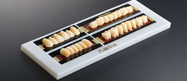 Picture for category PRIMODENT Acrylic  Artificial Teeth