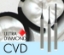 Picture of 5XS Masterpiece Zirconia Tool D1.0xL3x50 CVD Diamond Coated Ballnose Endmill