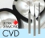 Picture of 5XS Masterpiece Zirconia Tool D2.0xL6x50 CVD Diamond Coated Ballnose Endmill