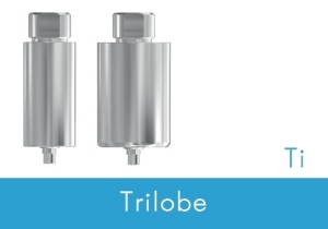 Picture of ø10mm Pre-milled Titanium Blank -Nobel Replace Select® WP/5.0