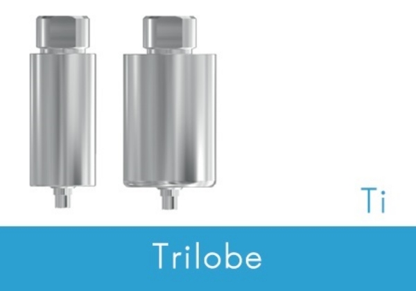 Picture of ø10mm Pre-milled Titanium Blank -Nobel Replace Select® WP/5.0