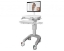 Picture of Hummingbird LCD Workstation