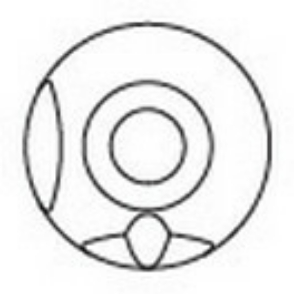Picture for category Zimmer Biomet Encode®